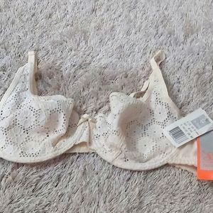 💝💝💝St.Even Brass